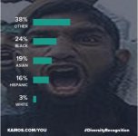 Diversity-recognition4.jpg